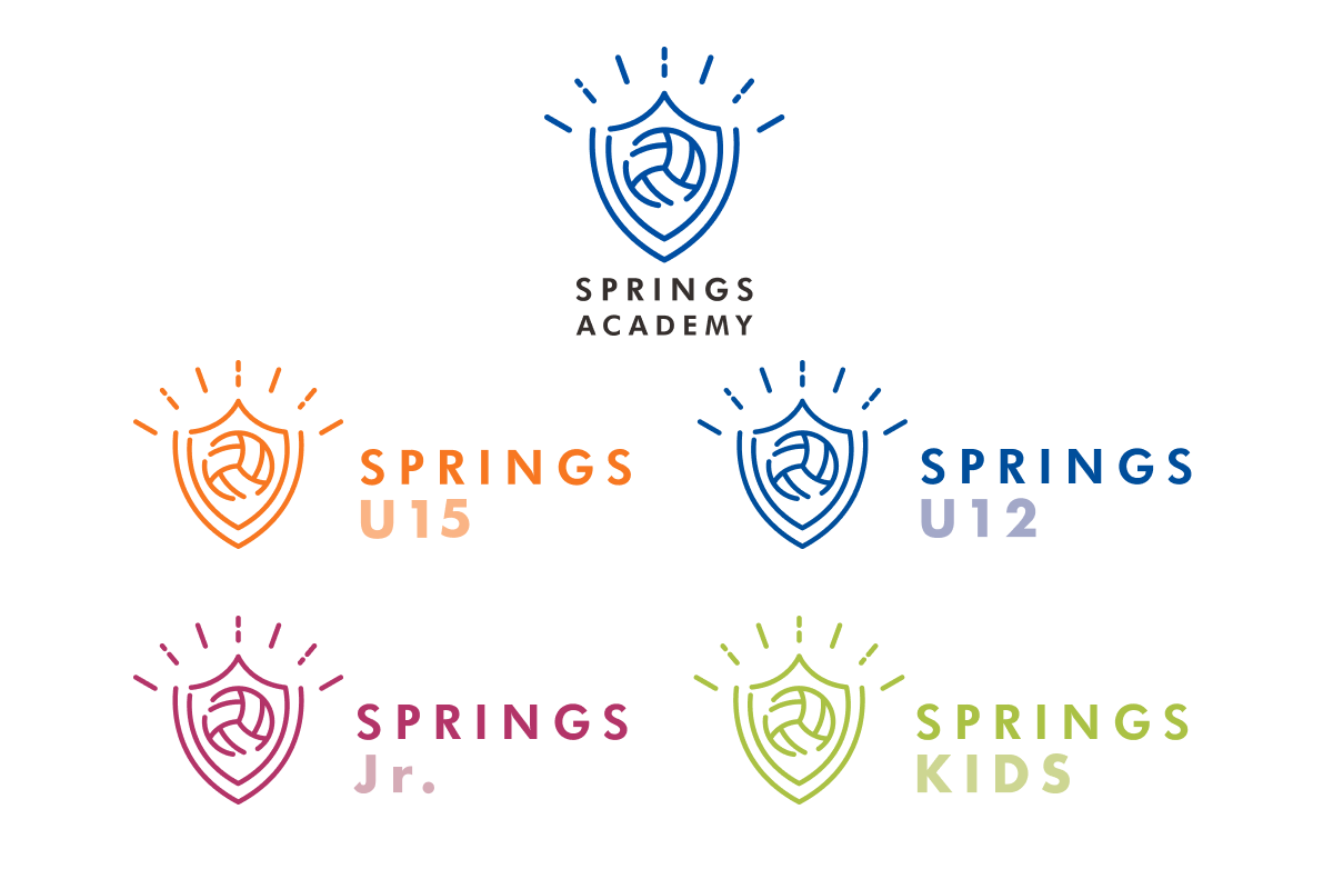 SPRINGS ACADEMY