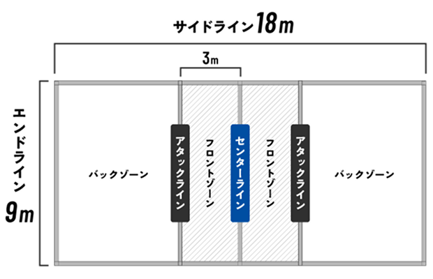 コートの大きさ